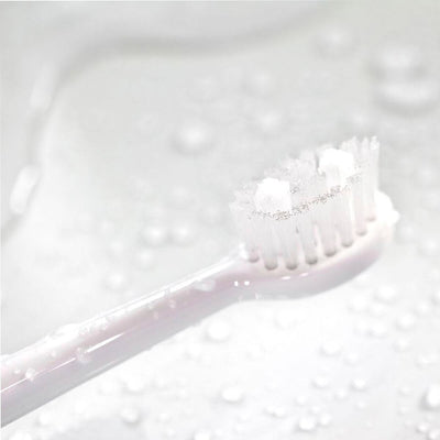 Spotlight Oral Care Sonic Toothbrush + Water Flosser Kit